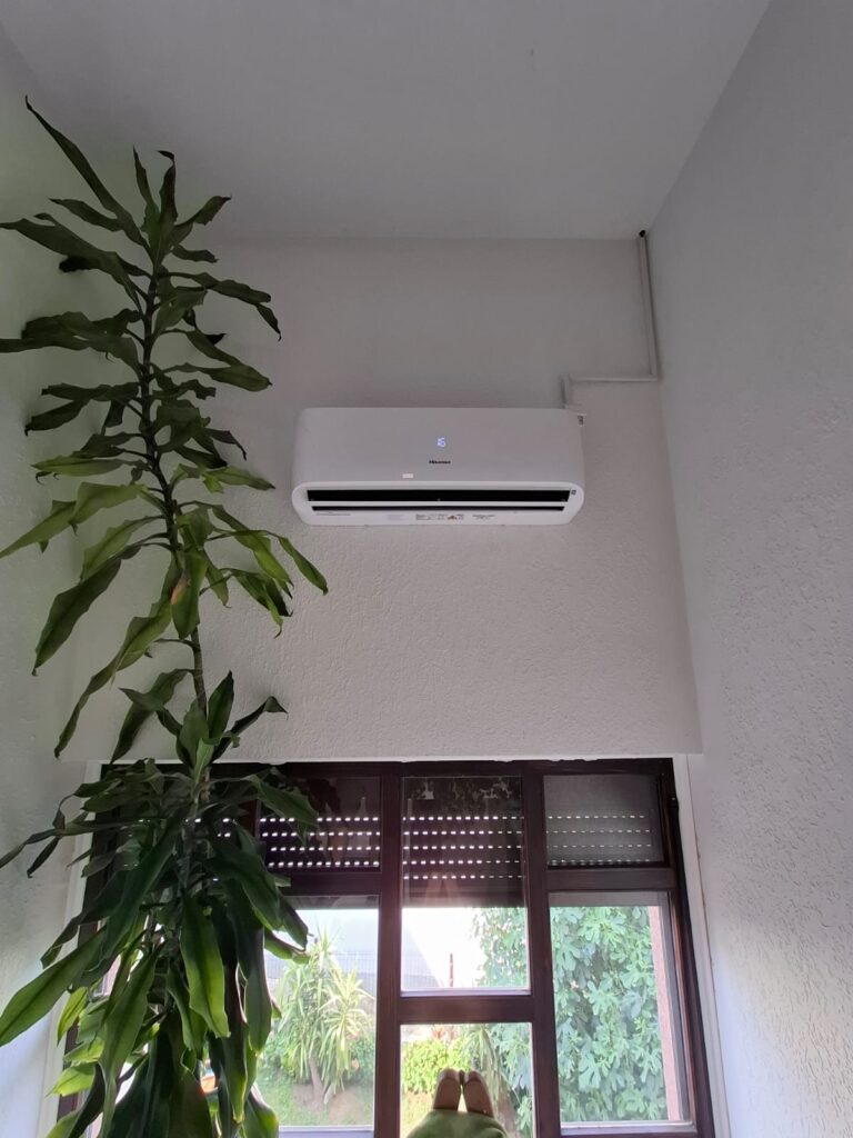 WhatsApp Image 2026-02-18 at 15.45.36